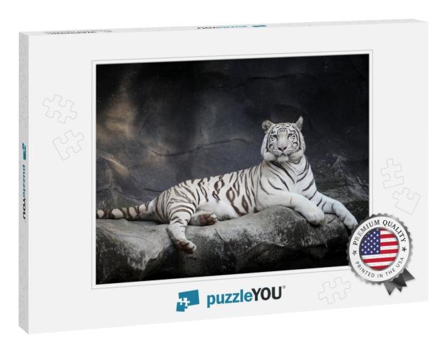 White Tiger... Jigsaw Puzzle