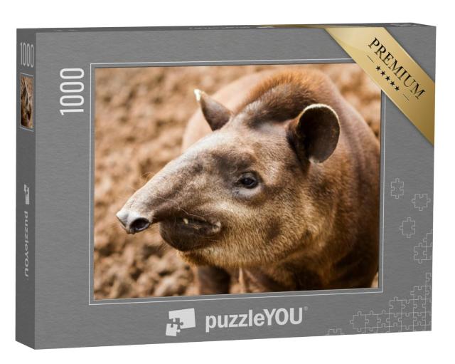 Puzzel 1000 stukjes „Close-up van een tapir in Ecuador“