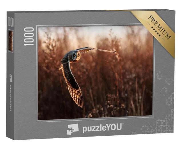 Puzzel 1000 stukjes „Velduil tijdens de jacht“