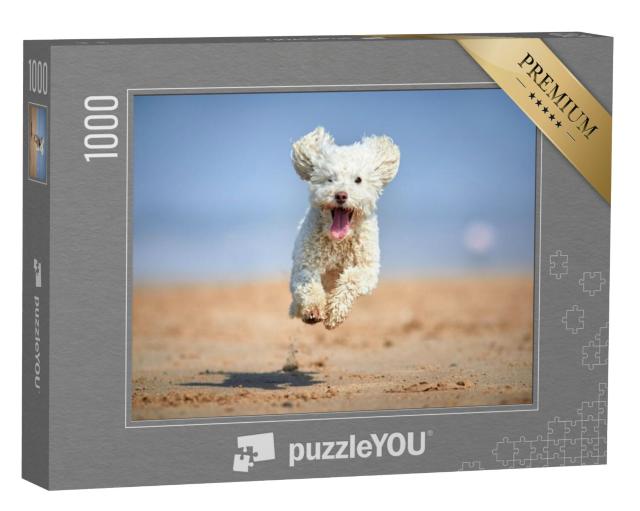 Puzzel 1000 stukjes „Dwergpoedel in volle ren op het strand“