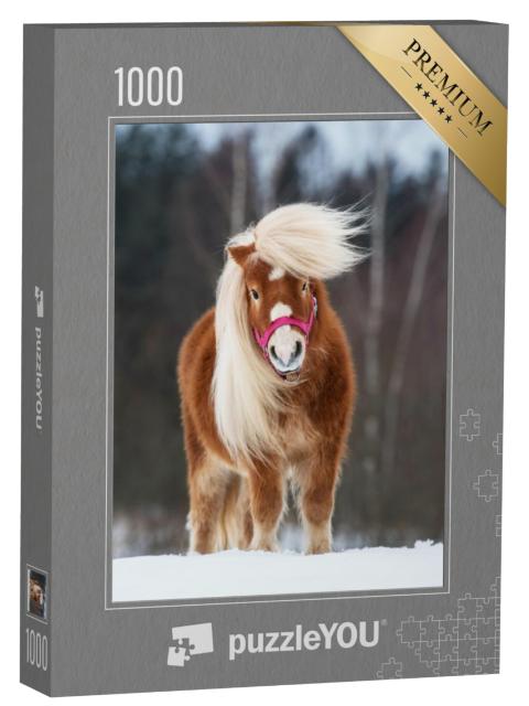 Puzzel 1000 stukjes „Mini Shetland pony hengst met prachtige manen“