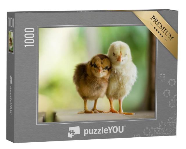 Puzzel 1000 stukjes „Twee kleine kuikentjes knuffelen“