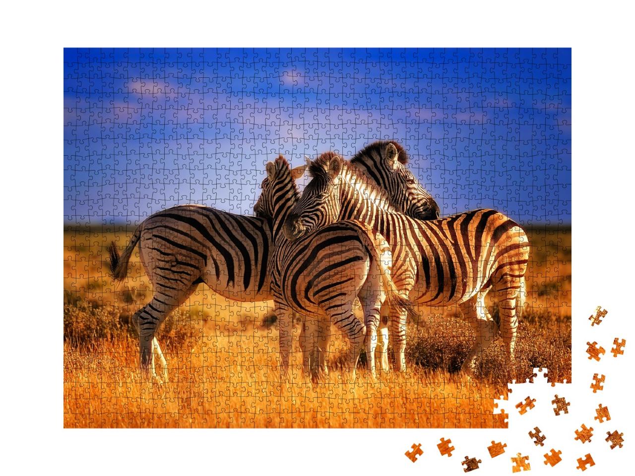 Puzzle 1000 Teile „Drei Zebras machen eine Pause“