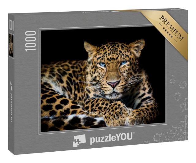 Puzzle „Nordchinesischer Leopard, Panthera pardus japonensis“