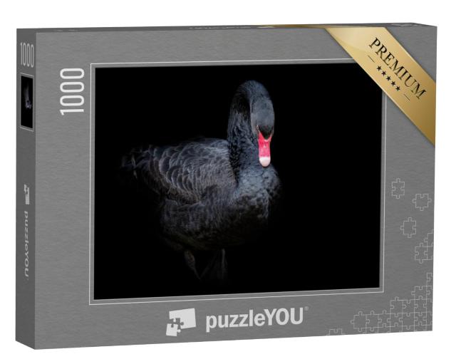 Puzzel 1000 stukjes „Zwarte Zwaan“