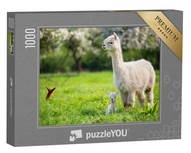 Puzzel 1000 stukjes „Een witte alpaca met welpen“