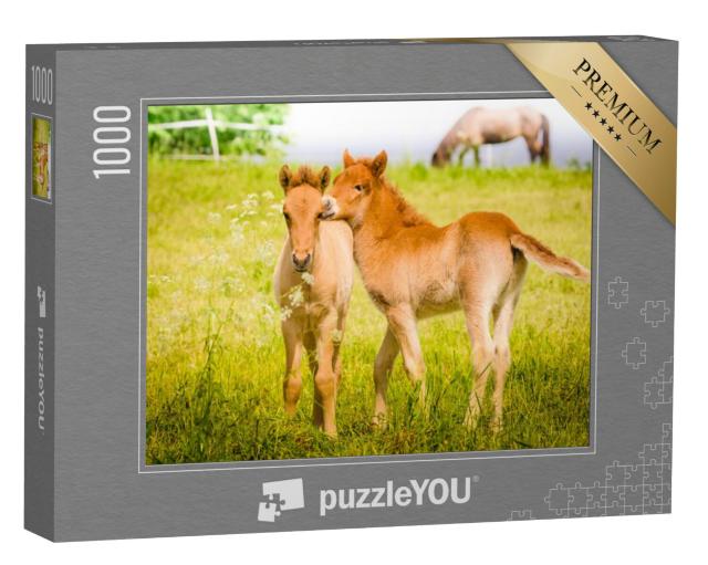 Puzzel 1000 stukjes „Veulens spelen in de wei“