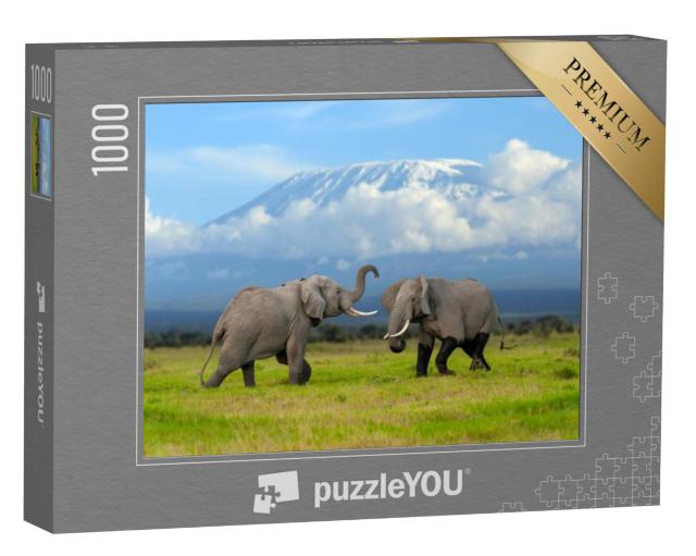 Puzzel 1000 stukjes „Olifant voor de besneeuwde Kilimanjaro“