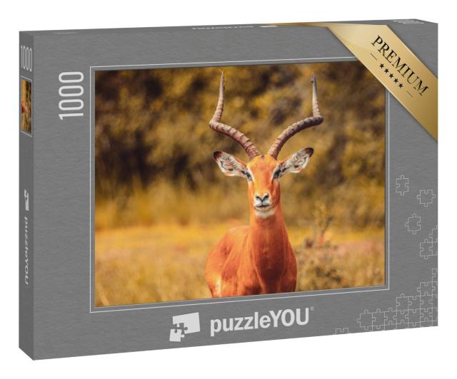 Puzzle 1000 Teile „Schöne Impala-Antilope“