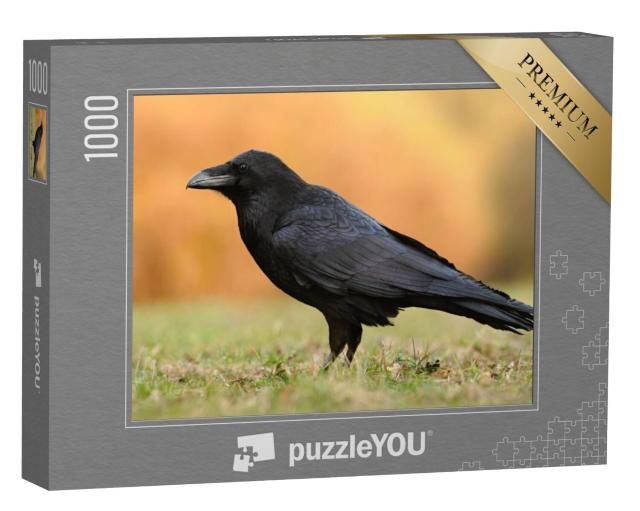 Puzzel 1000 stukjes „De raaf uit de familie der zangvogels“