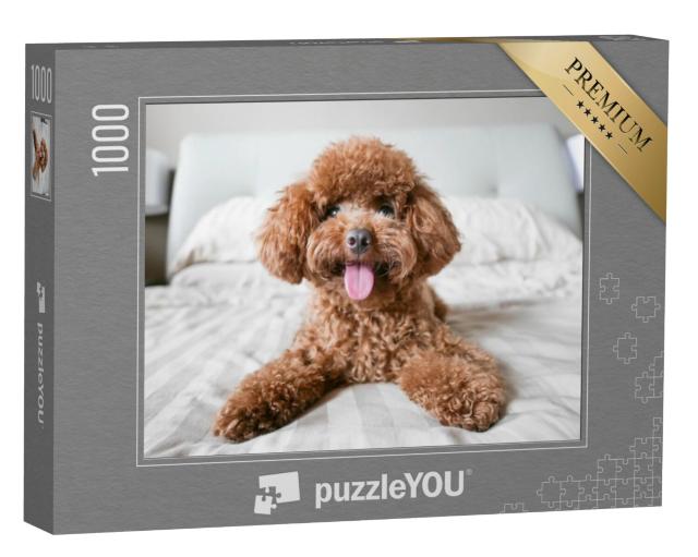 Puzzel 1000 stukjes „Schattige poedel op het bed“