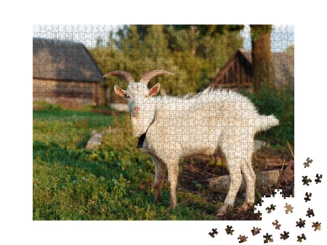 Puzzle 1000 Teile „Weiße Ziege auf dem Bauernhof, Haustier auf einer Wiese im Sommer“