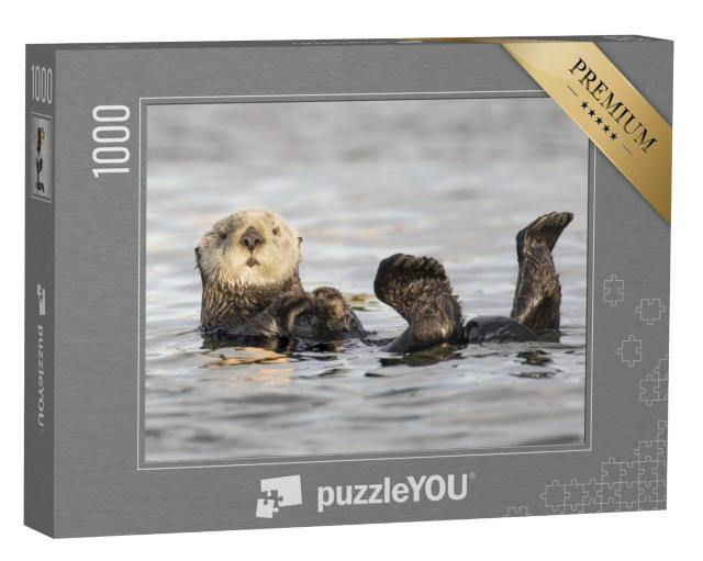 Puzzel 1000 stukjes „Californische zeeotter met wit gezicht“