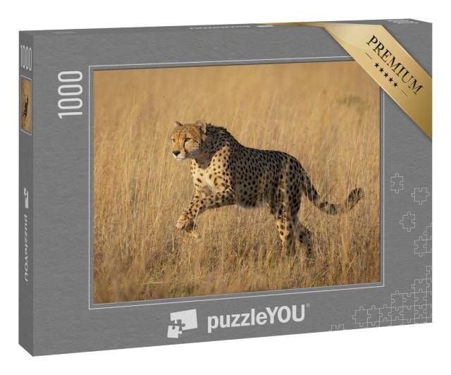 Puzzle 1000 Teile „Studie eines springenden Geparden in Savuti, Botswana“