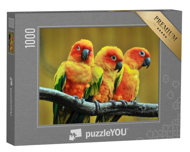 Puzzel 1000 stukjes „Zonparkiet op een boomtak“