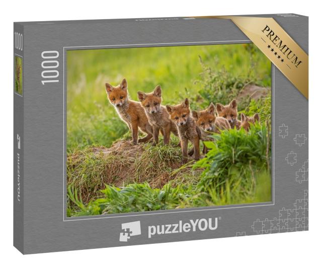 Puzzle 1000 Teile „Neugierige kleine Rotfüchse erkunden die Welt“