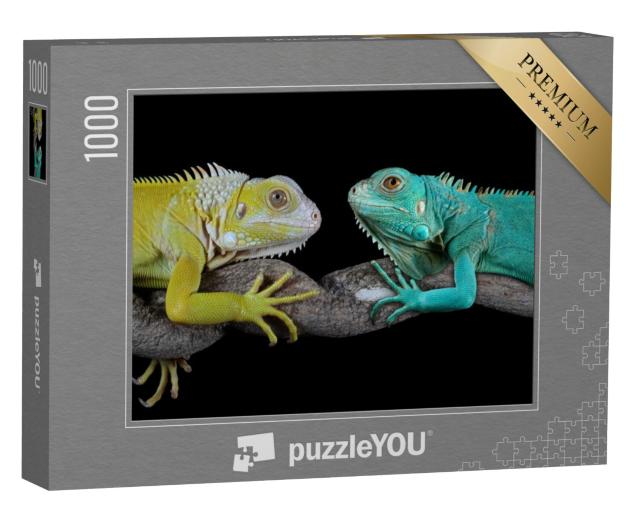 Puzzel 1000 stukjes „Blauwe leguanen“