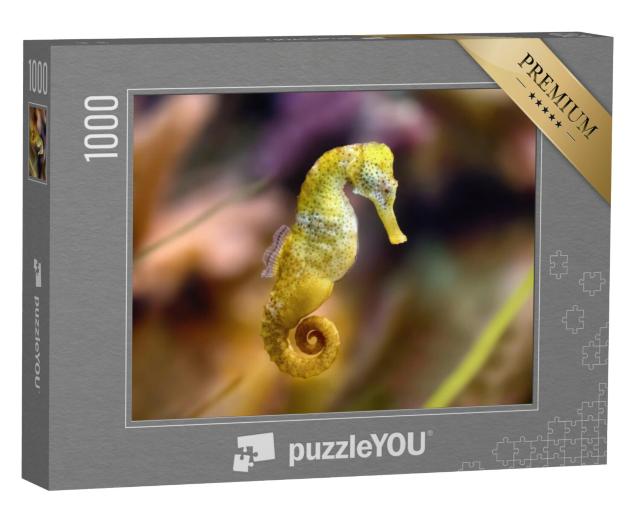 Puzzel 1000 stukjes „Geel langsnuitzeepaardje“