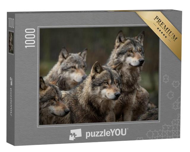 Puzzel 1000 stukjes „Grijze wolvenroedel in het bos“