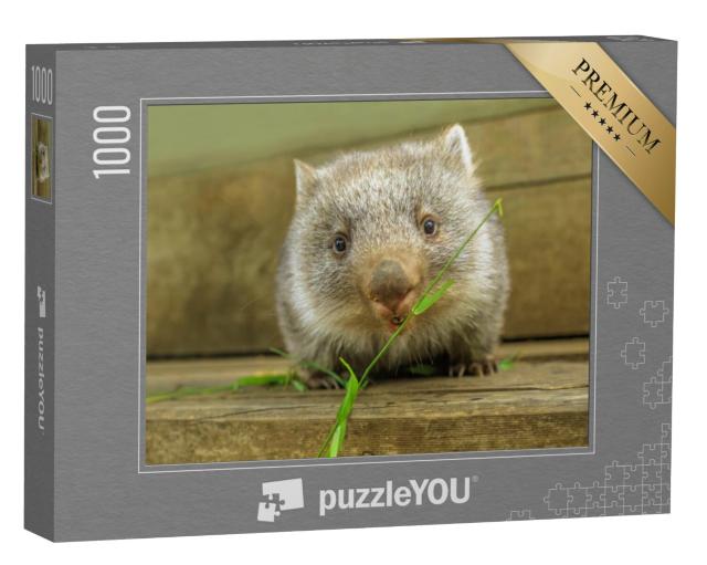 Puzzel 1000 stukjes „Schattige wombat welp aan het eten“