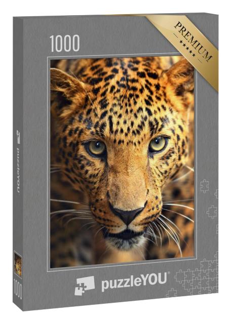 Puzzle 1000 Teile „Auge in Auge mit einem Leoparden“