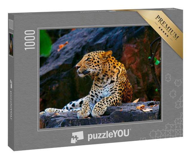 Puzzle 1000 Teile „Indischer Leopard, Panthera pardus fusca, Ranthambhore Tiger Reserve, Rajasthan“