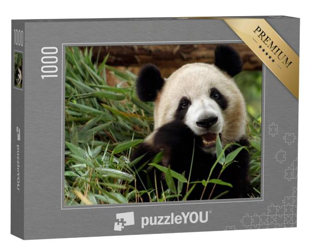 Puzzel 1000 stukjes „Reuzenpanda geniet van zijn bamboemaaltijd“