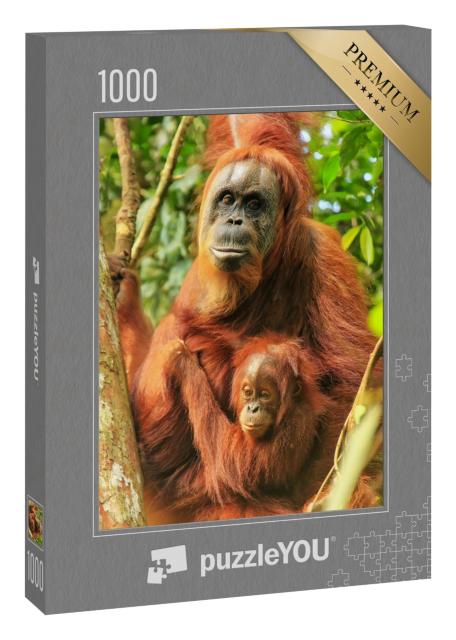 Puzzle „Weiblicher Sumatra-Orang-Utan mit einem Baby, Indonesien“