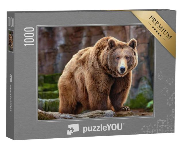 Puzzel 1000 stukjes „Een grote bruine beer“