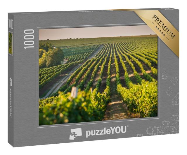 Puzzle 1000 Teile „Schöner Weinberg für den Weinanbau, Sommer“
