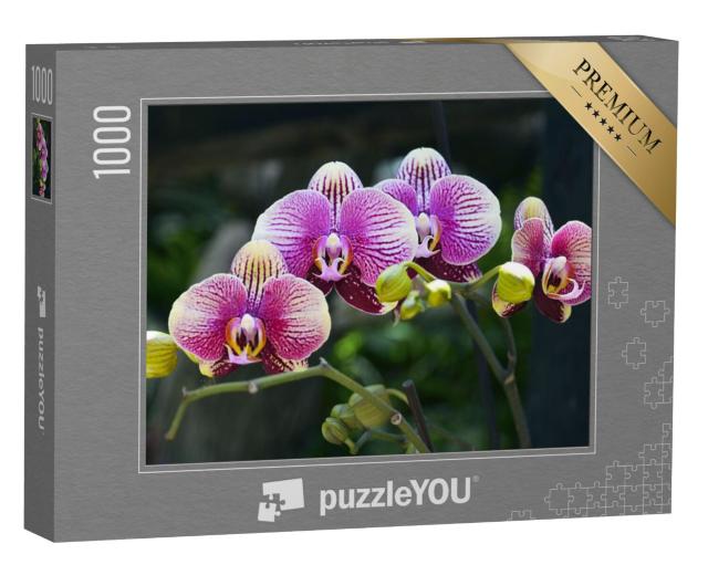 Puzzel 1000 stukjes „Orchideeën bloeien in de tropische tuin“