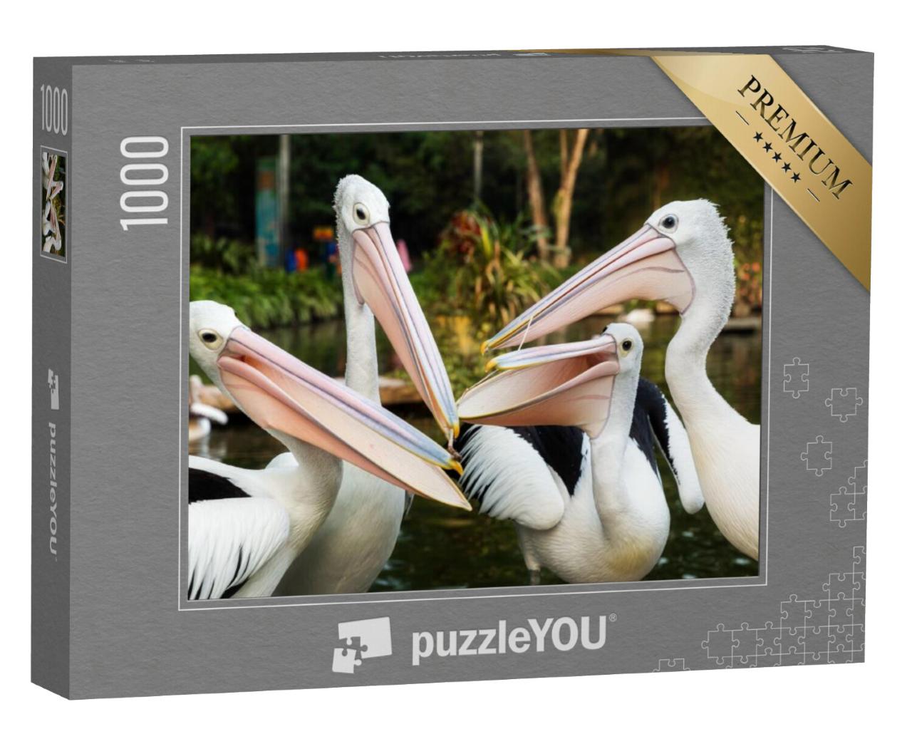 Puzzel 1000 stukjes „De witte pelikaan“