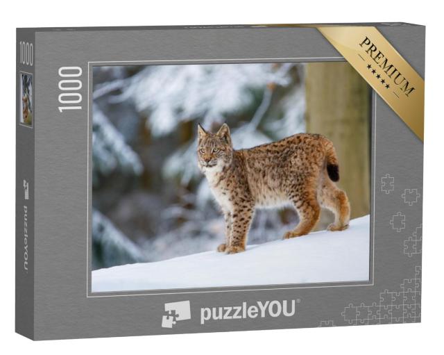 Puzzel 1000 stukjes „Euraziatische lynx in de winter“