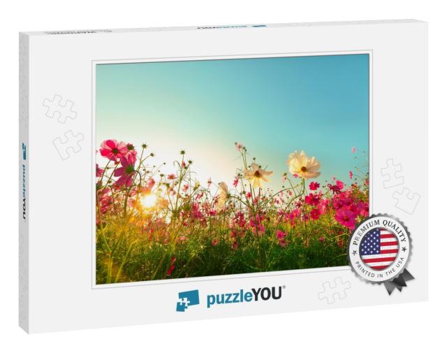 Beautiful Cosmos Flowers Blooming in Garden... Jigsaw Puzzle