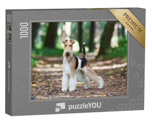 Puzzel 1000 stukjes „Fox terrier in het herfstpark“