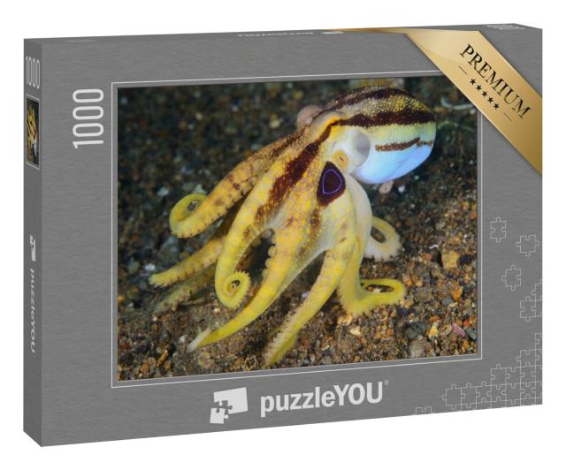 Puzzle 1000 Teile „Giftiger gelber Oktopus auf dem Meeresboden, Steine“
