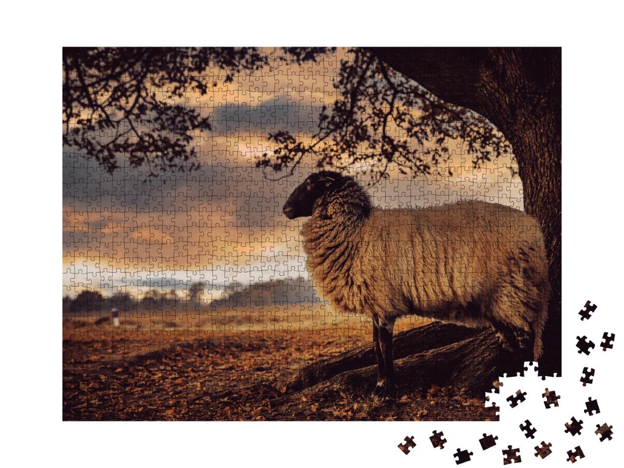 Puzzle 1000 Teile „Schaf mit schwarzem Kopf steht unter einem Baum und blickt in die Ferne“