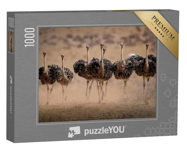 Puzzel 1000 stukjes „Struisvogelvrouwtjes doen stof opwaaien“