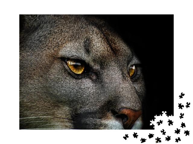 Puzzle 1000 Teile „Nahaufnahme eines Pumas“