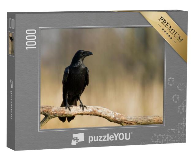 Puzzel 1000 stukjes „Raaf op een tak“