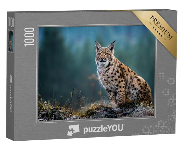 Puzzel 1000 stukjes „Euraziatische lynx“