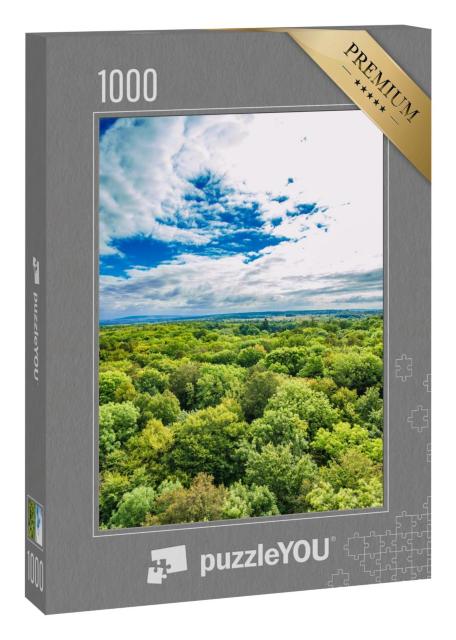 Puzzle 1000 Teile „Alte Buchenwälder des Nationalparks Hainich, Deutschland“