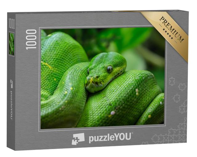 Puzzel 1000 stukjes „Close-up van een groene boompython“