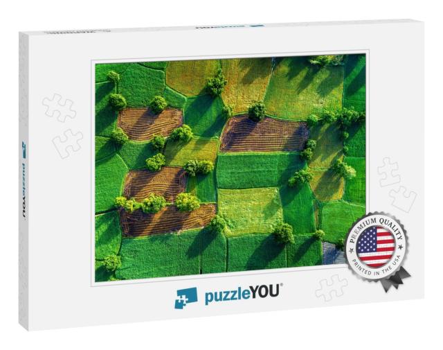 Royalty High Quality Free Stock Image Aerial View of Rice... Jigsaw Puzzle