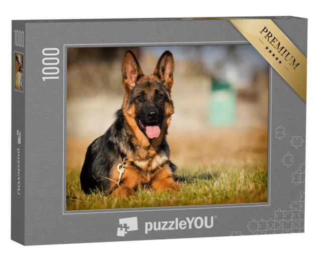 Puzzel 1000 stukjes „Duitse herder puppy liggend in het gras“