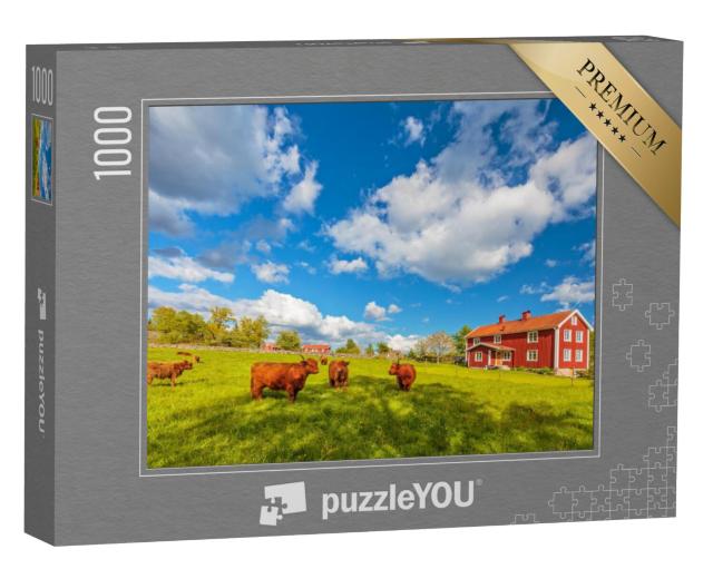 Puzzel 1000 stukjes „Hooglanders voor oude houten boerderijen, Smaland, Zweden“