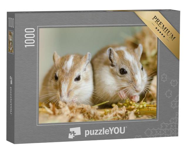 Puzzel 1000 stukjes „Twee schattige Mongoolse gerbils“