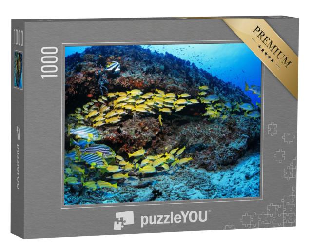 Puzzel 1000 stukjes „Koraalrif met kleurrijke vissen in de Indische Oceaan“
