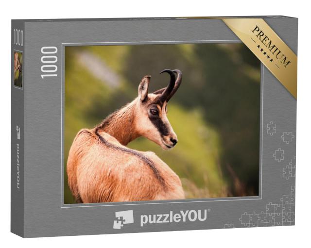 Puzzel 1000 stukjes „Portret van een gems in de natuur“