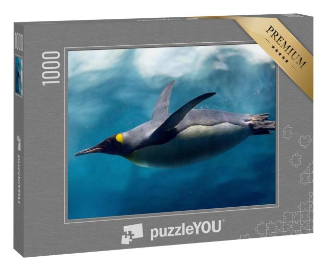 Puzzle 1000 Teile „Unterwasserfoto: Pinguine tauchen unter dem Eis“